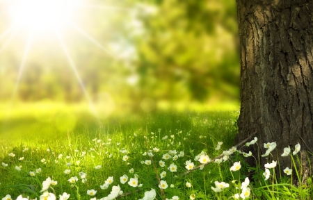 海角吃瓜精选作品-自然风光