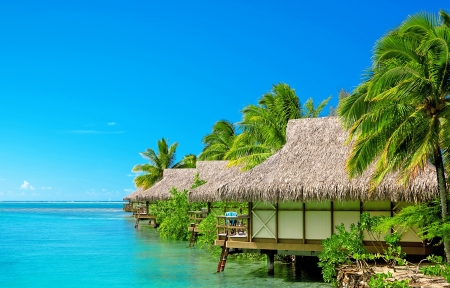 海角吃瓜精选作品-夜景光影